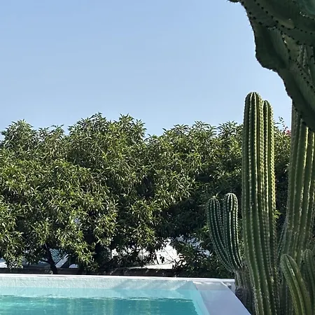Вилла Casa En El Mar Con Infinity Pool Пунта-де-Мухерес
