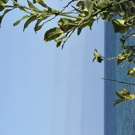فيلة Casa En El Mar Con Infinity Pool